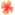 紅花